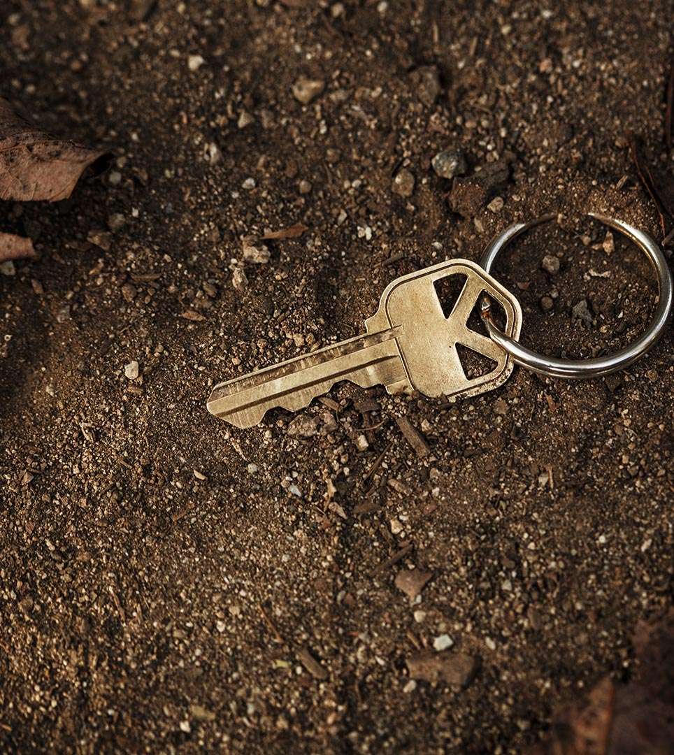 Lost and Found