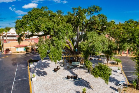 Villa 1565 - birds eye view-Courtyard